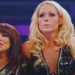 TEAM LAYCOOL RECEIVES SUPPORT FOR WWE RETURN