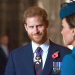 Is Harry Too Risky for the Royals? Fears of Betrayal May Prevent Harry from Visiting Ill Kate