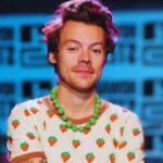 Harry Styles' Stalker Receives Jail Time and Restraining Order!