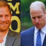Prince Harry's Honest Explanation for Postponing His Meeting with Prince William