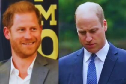 Prince Harry's Honest Explanation for Postponing His Meeting with Prince William