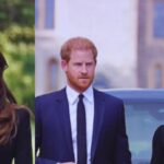 Meghan Markle's Worry: Prince Harry's Desire for Friendship with Prince William