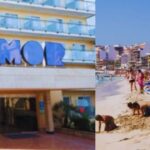 Dangerous Escapade: German Tourist's Fatal Fall in Majorca Ignites Safety Warnings