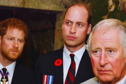 Royal Rifts and Responsibilities: Inside the Dynamics of Charles, William, and Harry
