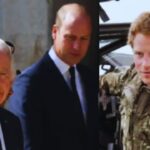 Family Fractures: Prince Harry's Anguish as William's Military Role Unveiled!
