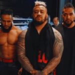 New Powerhouse Joins The Bloodline: WWE's Faction Expands