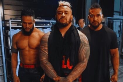 New Powerhouse Joins The Bloodline: WWE's Faction Expands