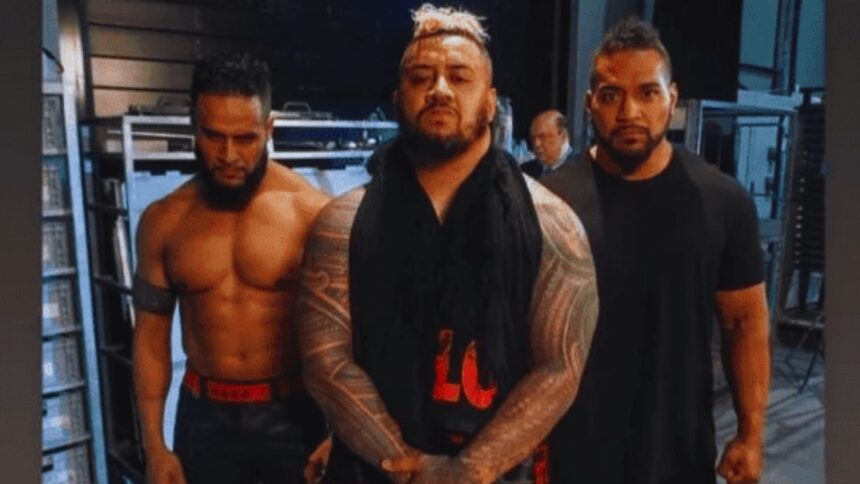 RIKISHI SHOCKED BY TANGA LOA JOINING THE BLOODLINE: What Does This Mean for the Dynasty?