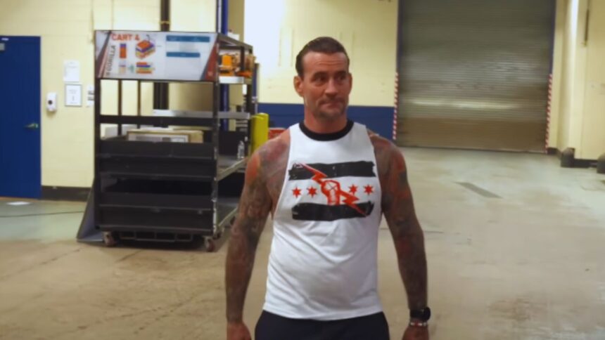 "McIntyre: The Game-Changer in CM Punk's Career?"