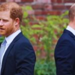 "Royal Brothers' Intimate Moments Shock the Internet"