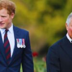 "Royal Bombshell: Prince Harry Speaks Out on Shocking King Charles Meeting Decision!"