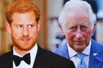 "Prince Harry's Unexpected Encounter Leaves Fans Baffled: 'That Doesn't Even Make Sense!'"