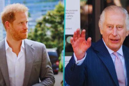 "Palace Insiders Spill: Why King Charles Refuses to Meet Harry"