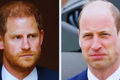 "Royal Rift: Prince William's Surprising New Role 'A Slap in the Face' for Prince Harry"