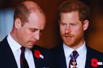 Prince Harry Steps Aside, Allowing Prince William to Take Key Role