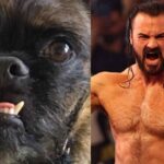 Drew McIntyre Targets CM Punk’s Dog Larry in Escalating Feud