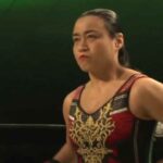 Meiko Satomura Announces Retirement: A Final Chapter in Wrestling History Begins