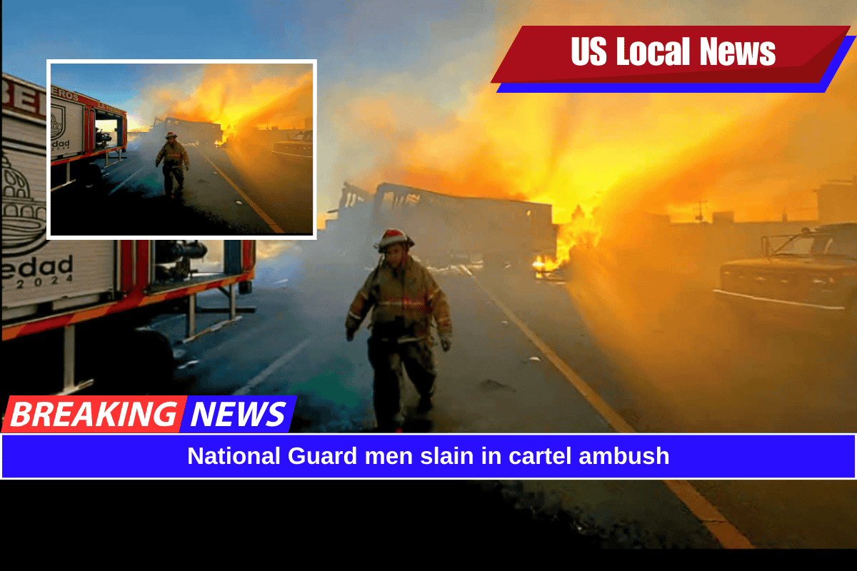 National Guard men slain in cartel ambush